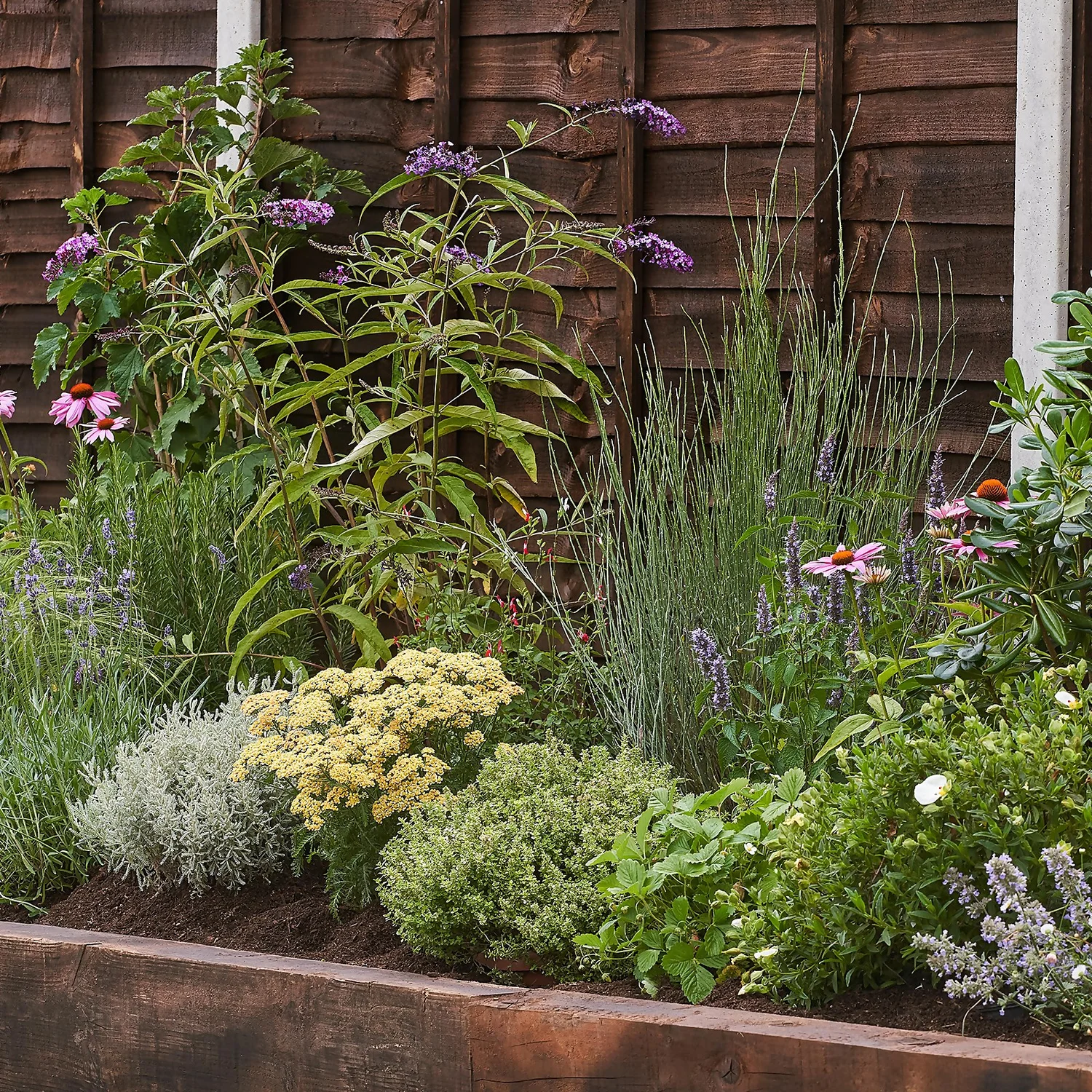 Sensory Border Collection - 4m X 90cm