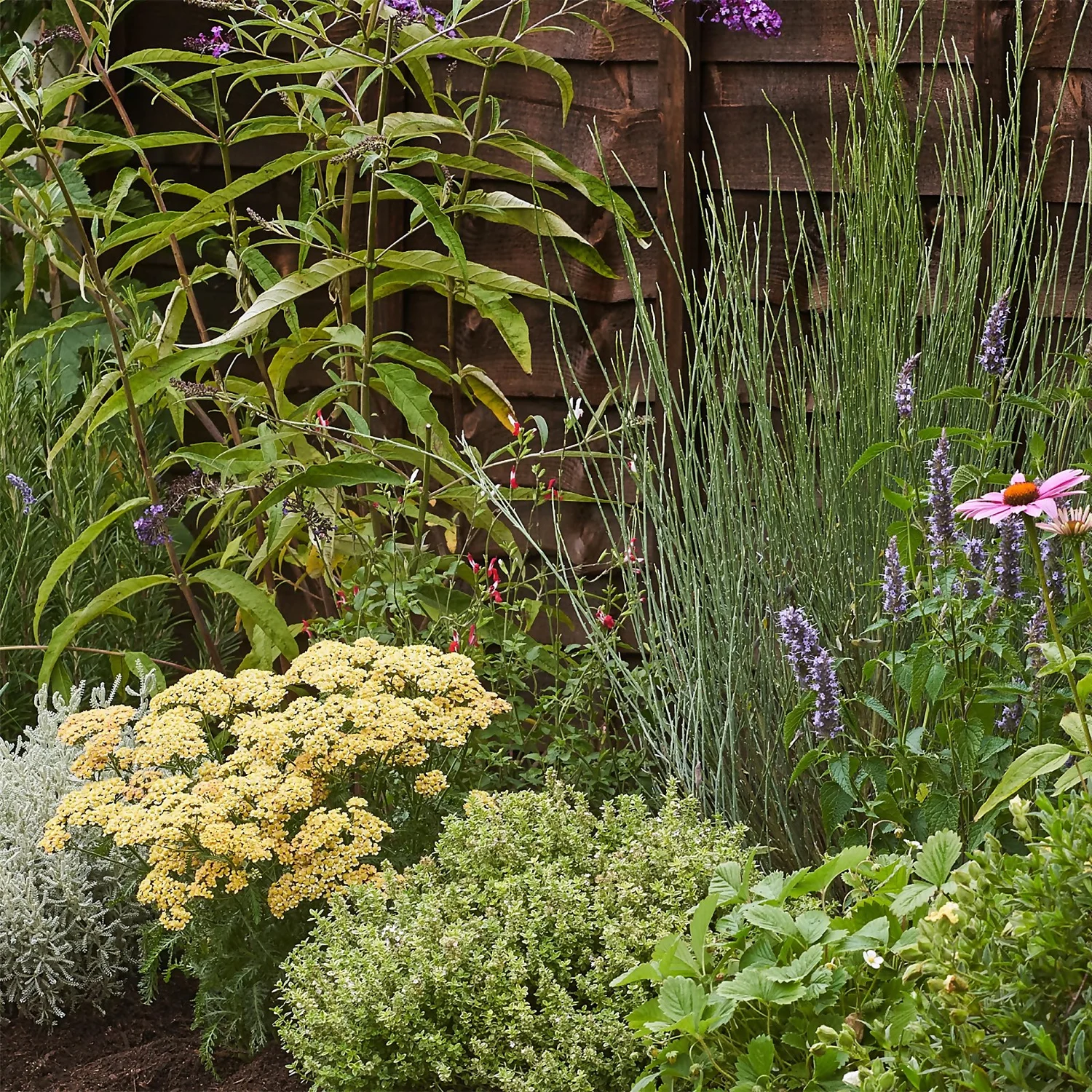 Sensory Border Collection - 4m X 90cm - Image 5