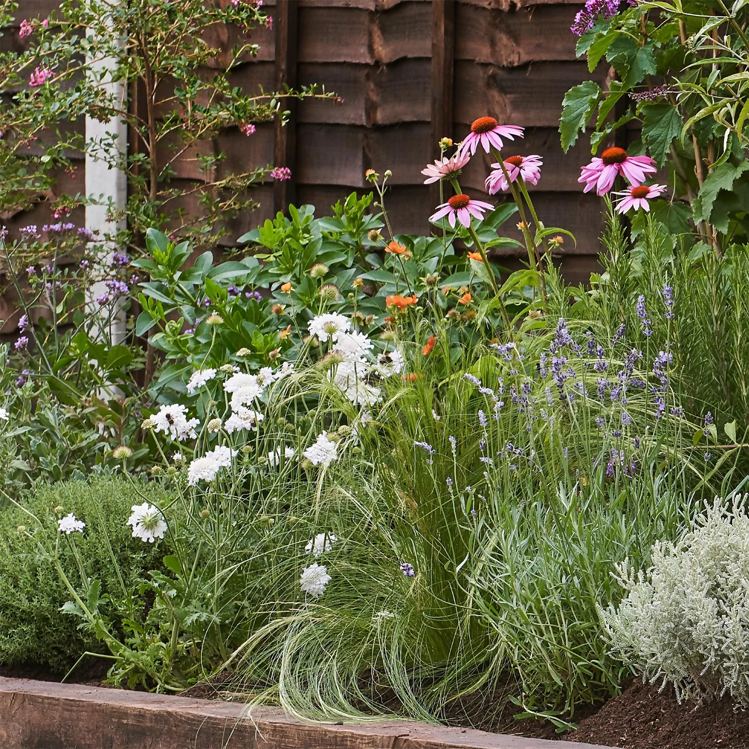 Sensory Border Collection - 6m X 90cm - Image 4