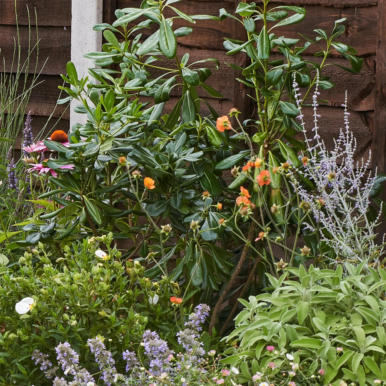 Sensory Border Collection - 6m X 90cm - Image 6