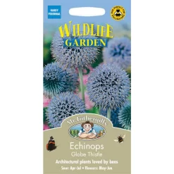 Mr. Fothergill's Echinops Globe Thistle (Echinops Ritro) Seeds