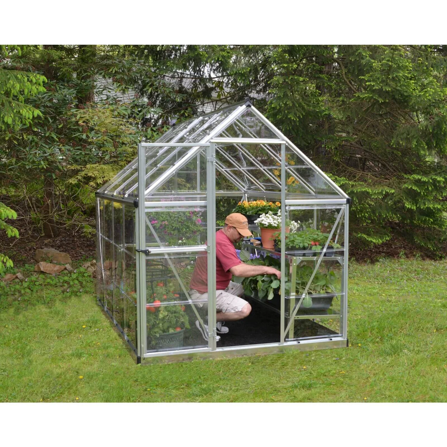 Palram 6 X 8ft Canopia Harmony Greenhouse - Silver - Image 4