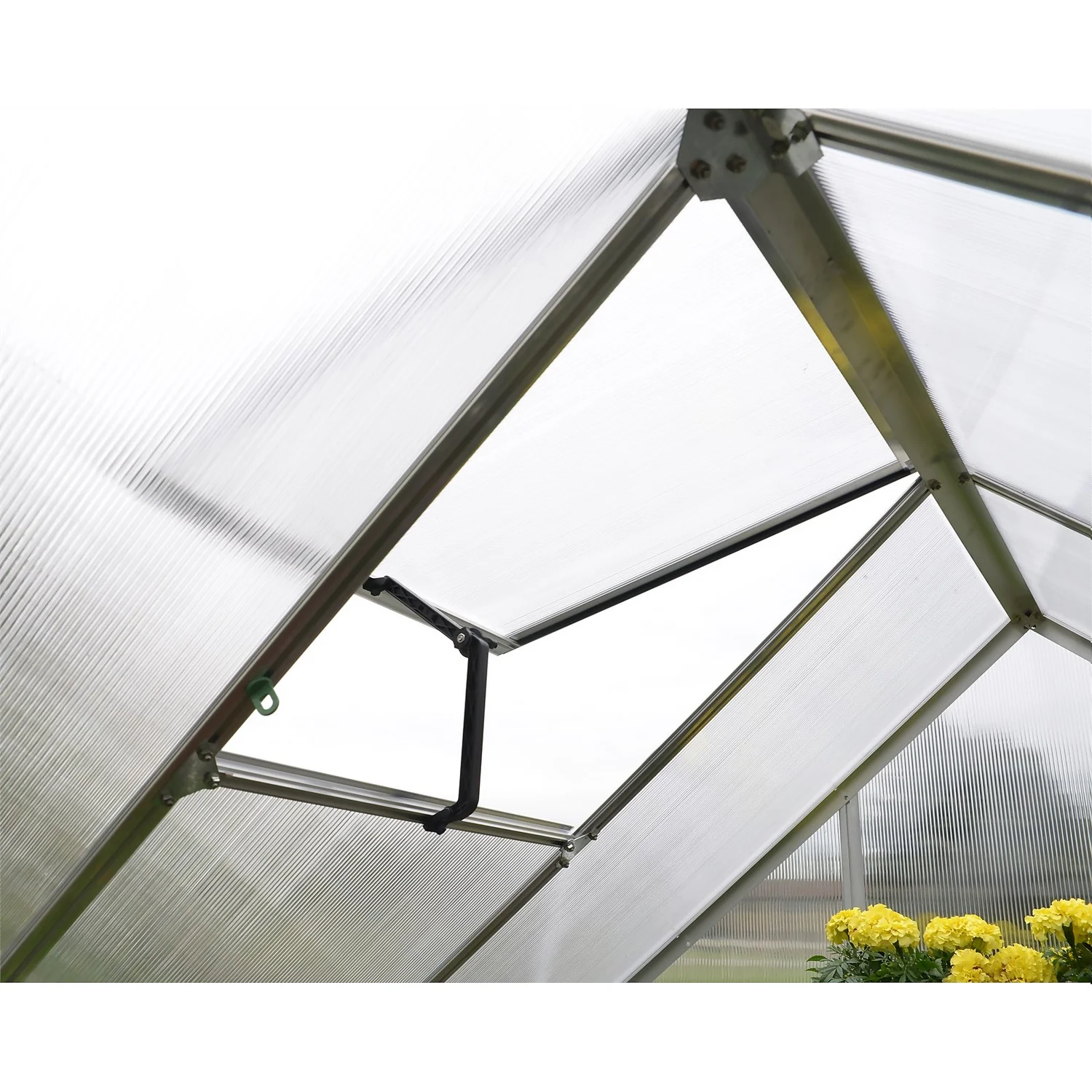 Palram 6 X 4ft Canopia Mythos Greenhouse - Silver - Image 5