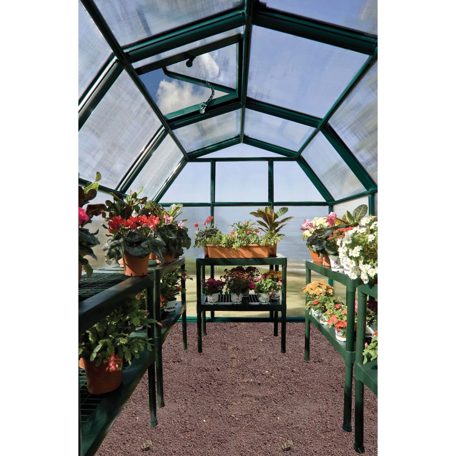 Palram 6 X 6ft Canopia Eco Grow Greenhouse - Green - Image 4