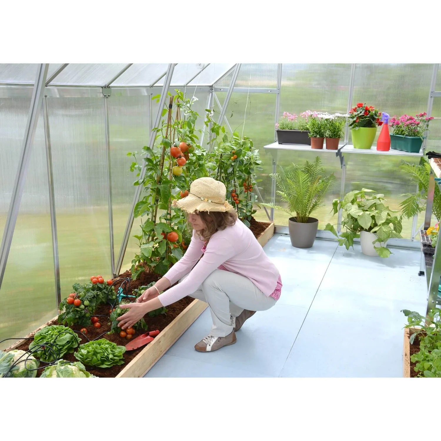 Palram 8 X 12ft Canopia Essence Greenhouse - Silver - Image 6