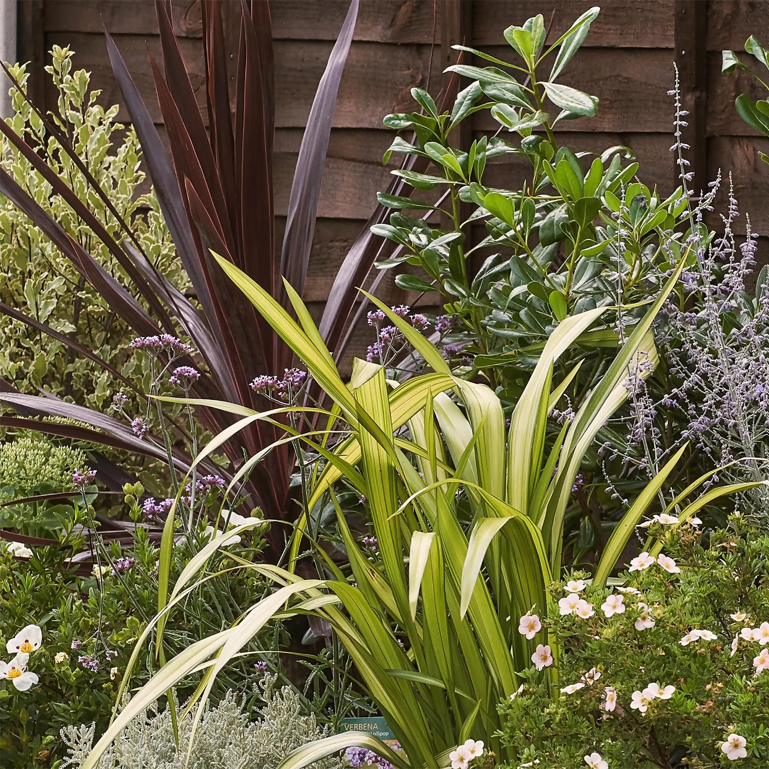 Mediterranean Border Collection - 7m X 90cm - Image 5