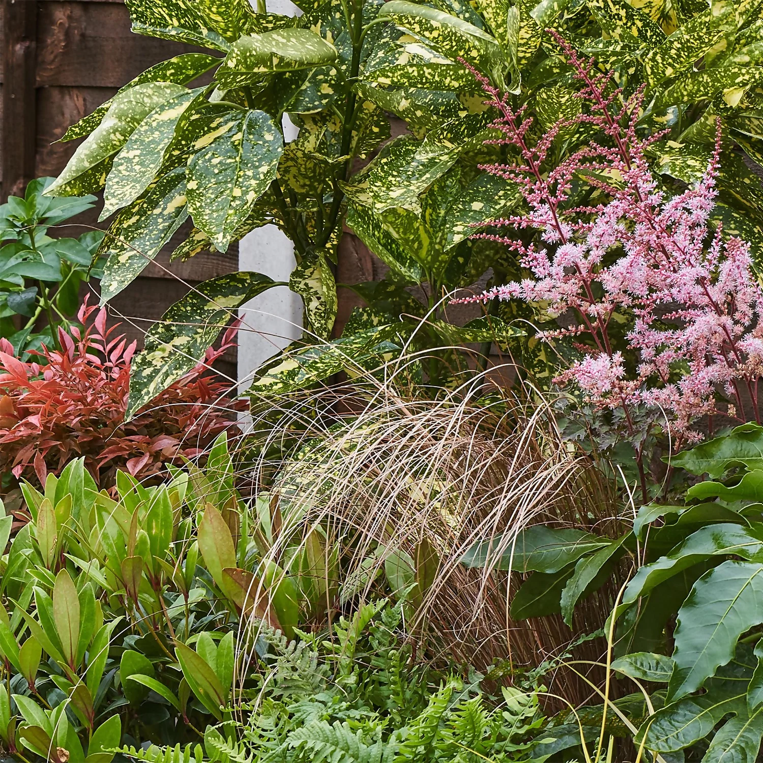 Evergreen Border Collection - 3m X 90cm - Image 6