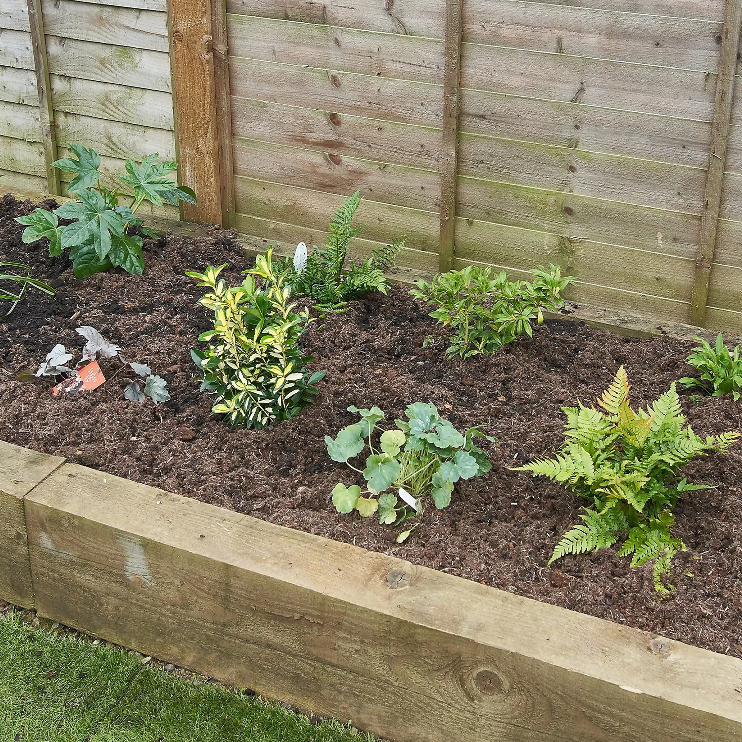 Evergreen Border Collection - 3m X 90cm - Image 3