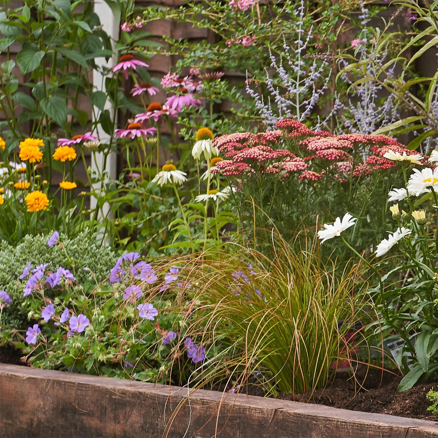 Bee And Butterfly Border Collection - 7m X 60cm - Image 4