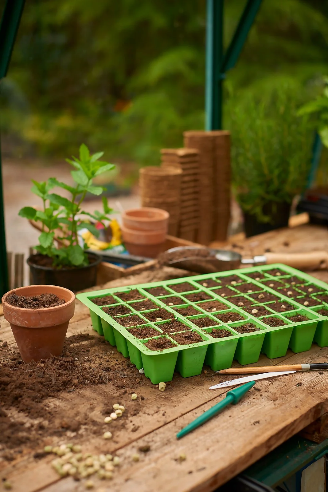 Plantpak 40 Cell Seed Tray Insert (Pack Of 4) - Image 2