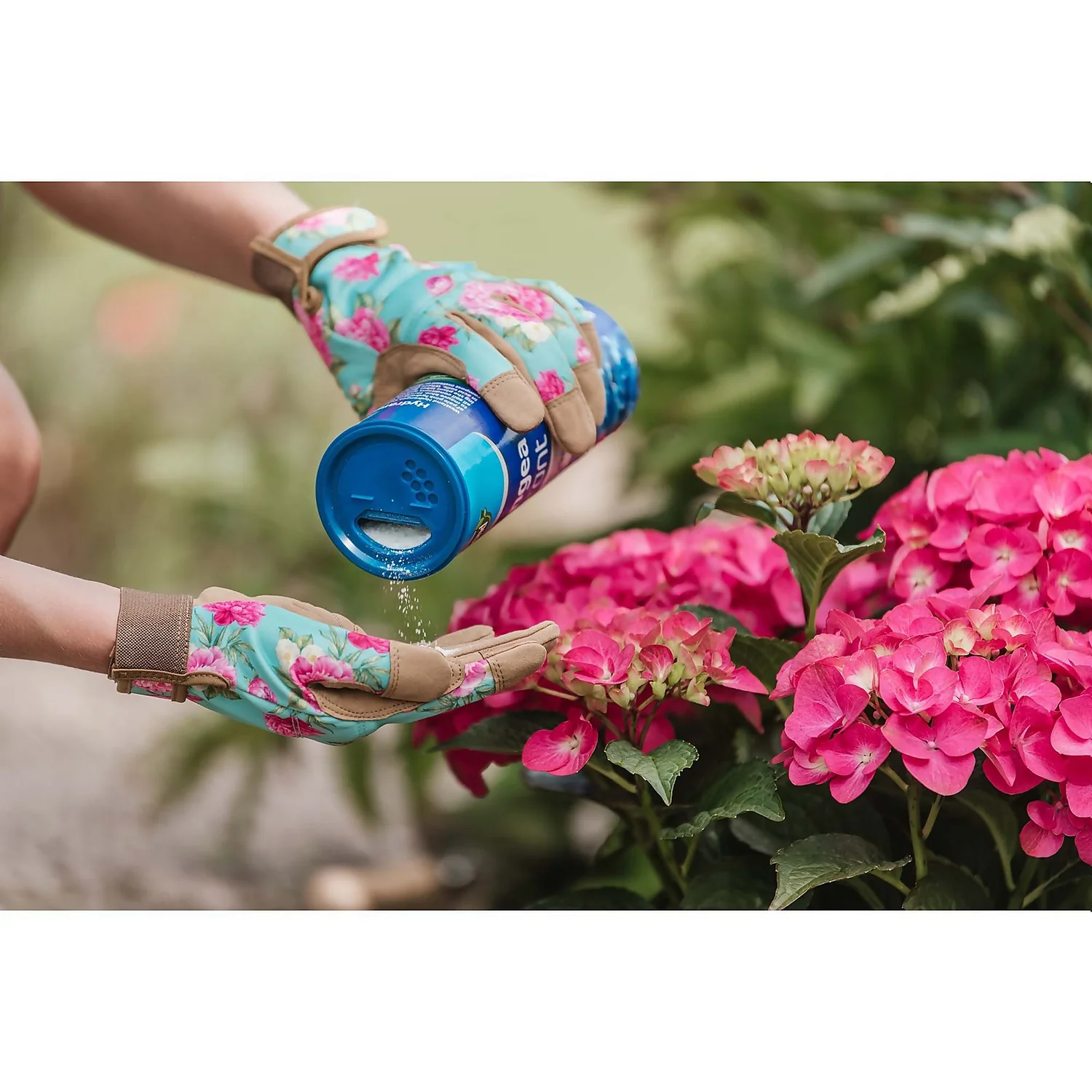 Westland Hydrangea Colourant - 500g - Image 3