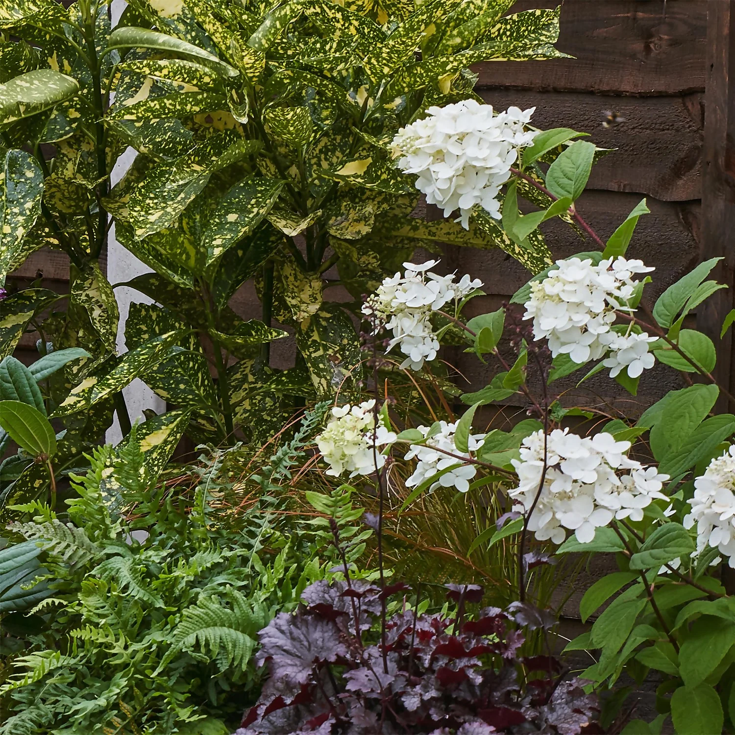 Shady Border 4m X 40cm - Image 6