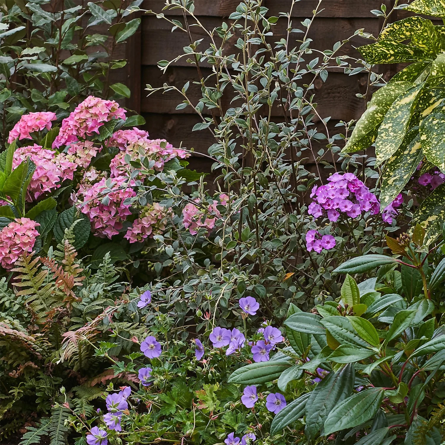 Shady Border 4m X 40cm - Image 5