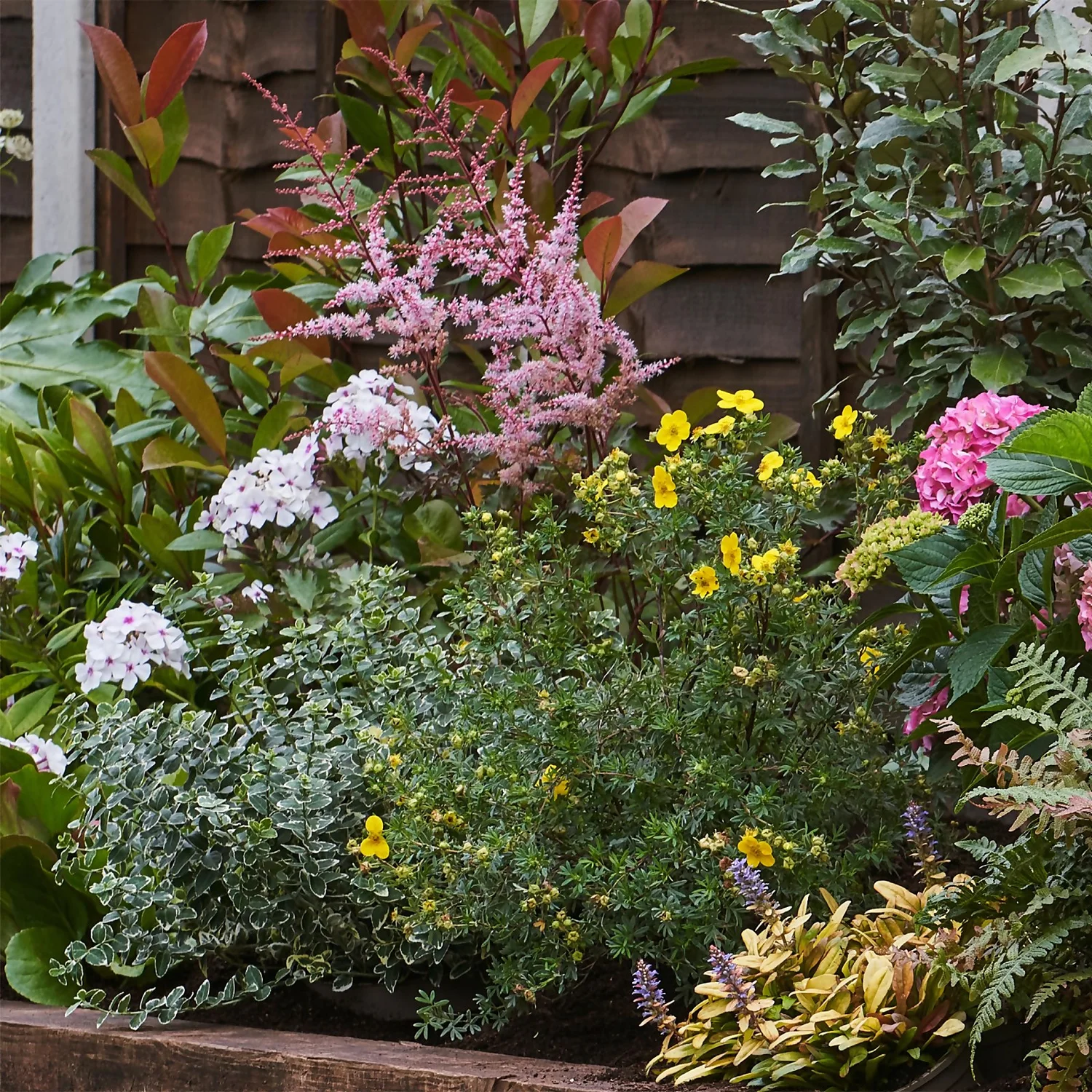 Shady Border 8m X 40cm - Image 4