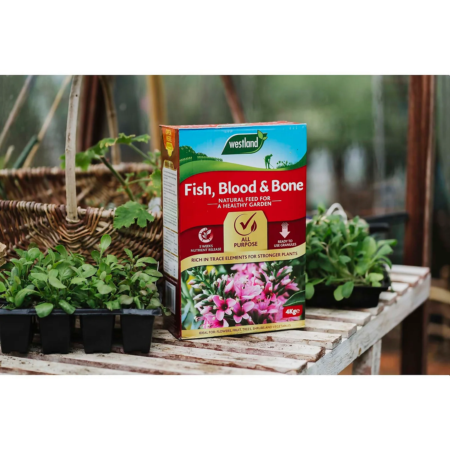 Westland Fish, Blood And Bone All Purpose Plant Food - 4kg - Image 2