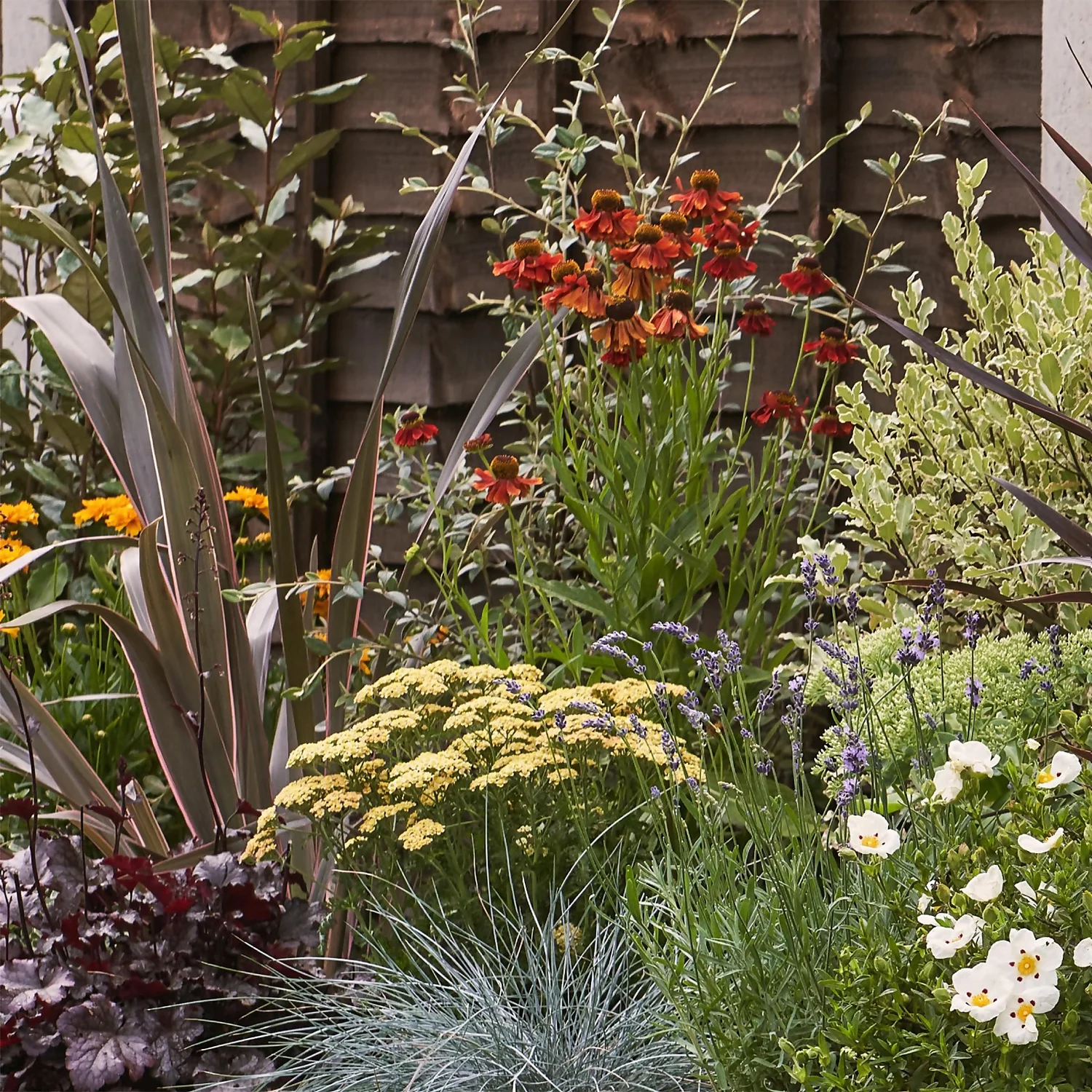 Mediterranean Border 8m X 40cm - Image 4