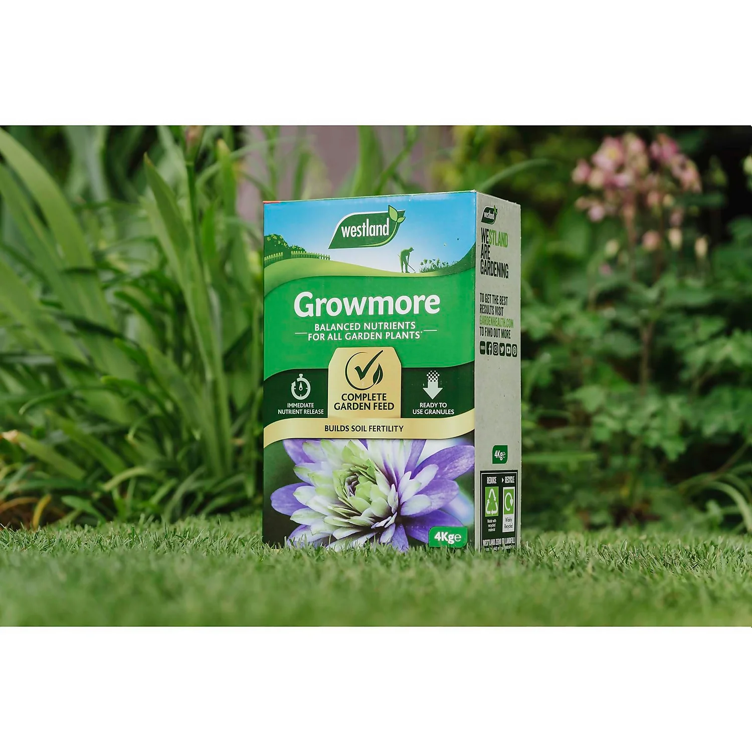 Westland Growmore Balanced Garden Fertiliser For All Plants - 4kg - Image 2