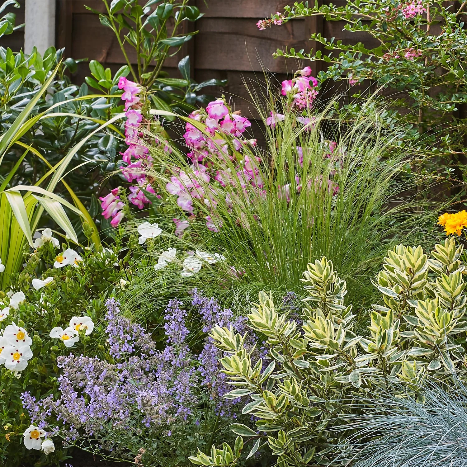 Sunny Border 8m X 40cm - Image 5