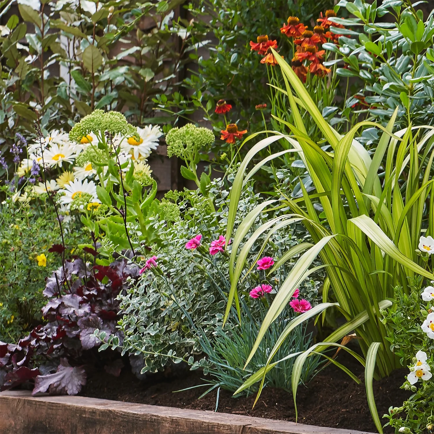 Sunny Border 8m X 40cm - Image 4