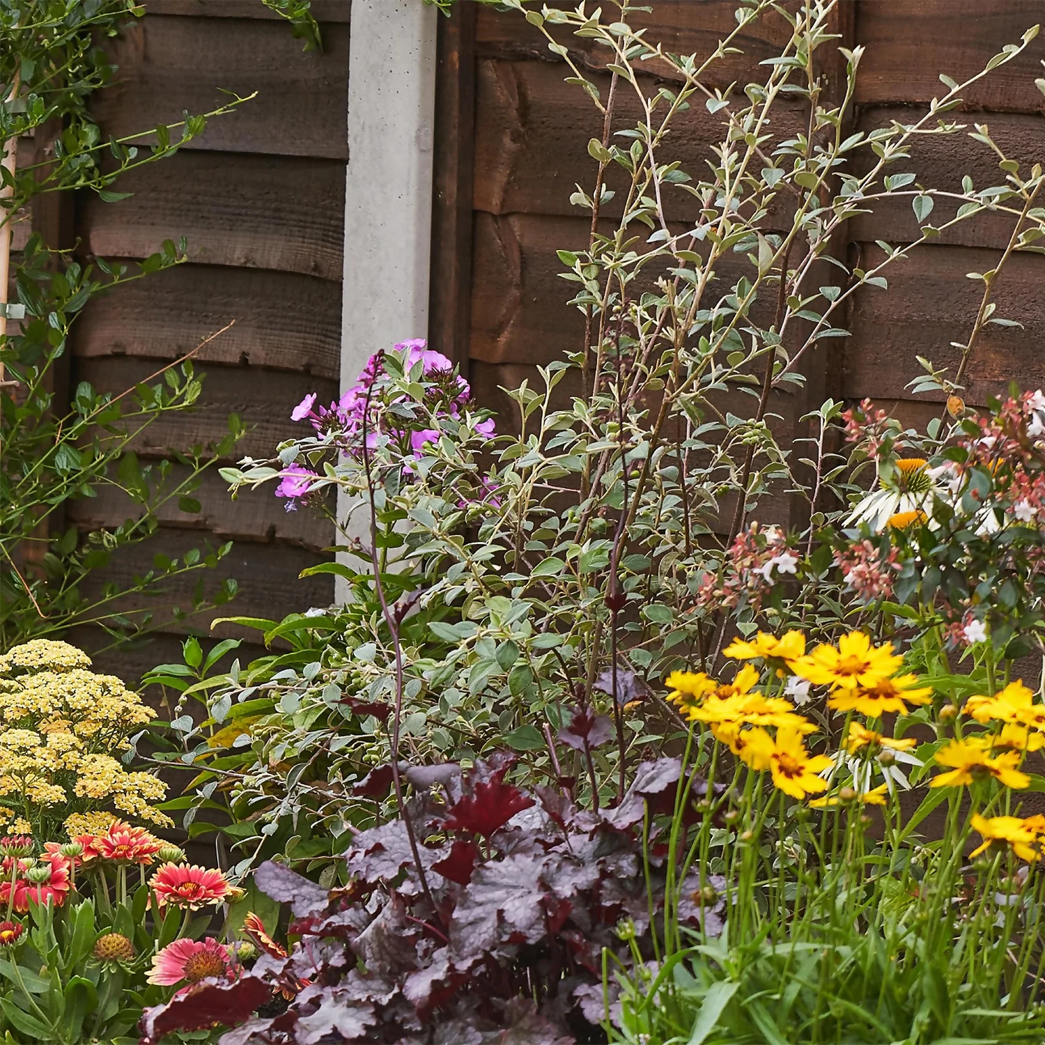 Bee And Butterfly Border 7m X 40cm - Image 6