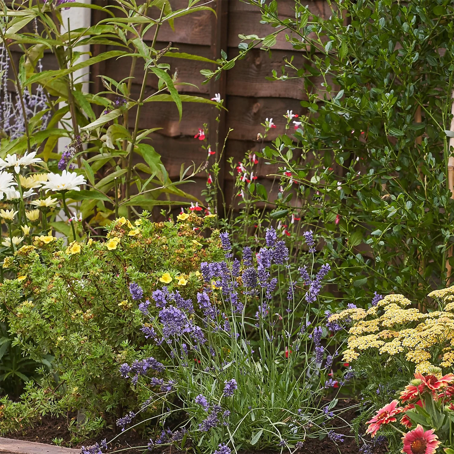 Bee And Butterfly Border 7m X 40cm - Image 5