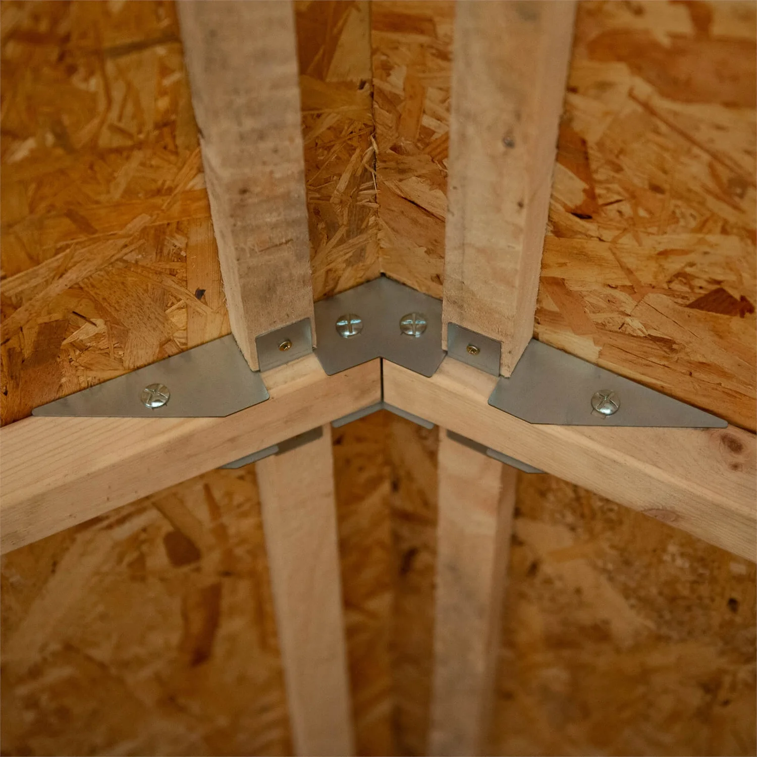 Forest 6 X 4ft Overlap Pressure Treated Apex Shed - Double Door 4 Windows - Incl. Installation - Image 5