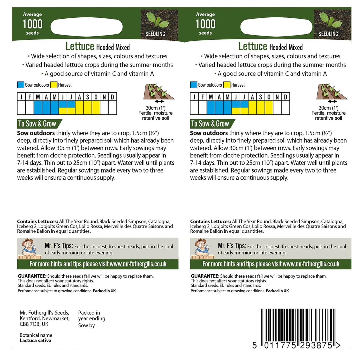 Mr. Fothergill's Lettuce Headed Mixed - Image 2
