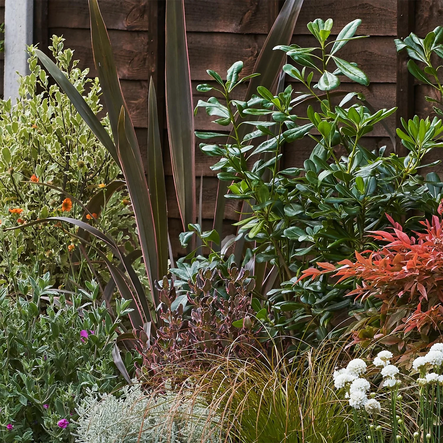 Garden On A Roll Eco Border - 4m X 40cm - Image 5