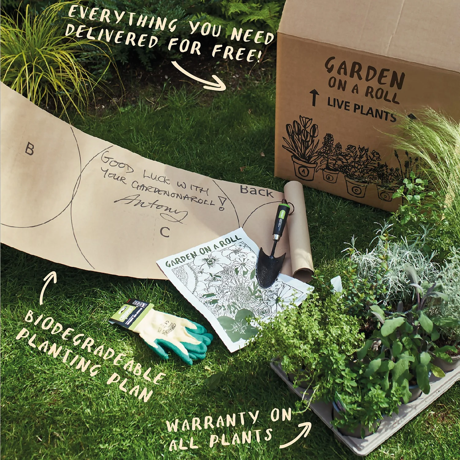 Garden On A Roll Eco Border - 3m X 90cm - Image 7