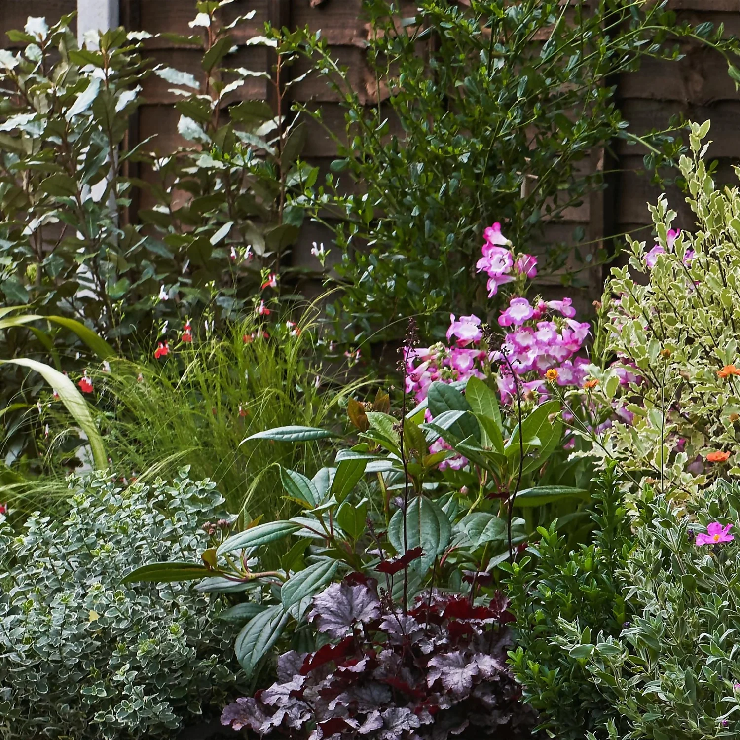 Garden On A Roll Eco Border - 9m X 120cm - Image 4