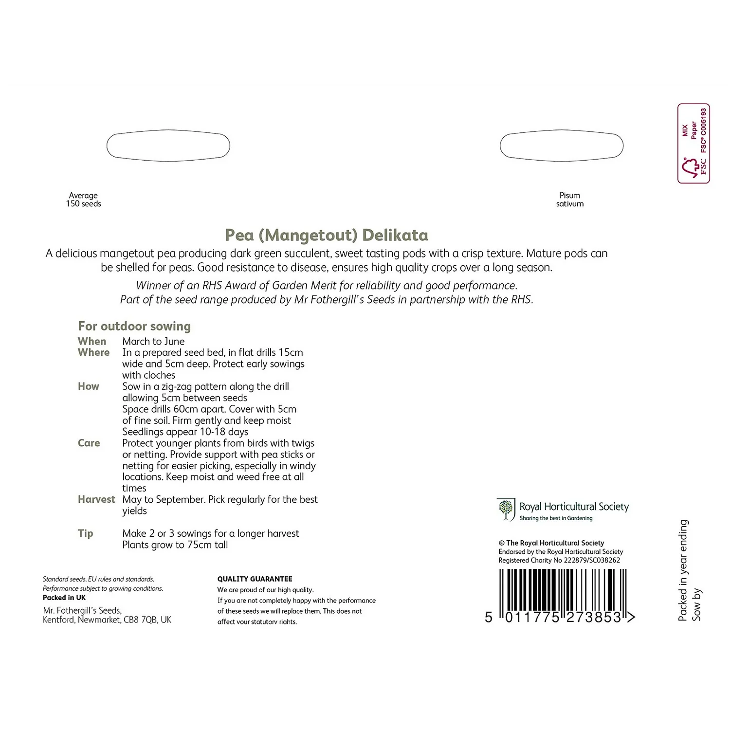 RHS Pea Mangetout Delikata Seeds - Image 2