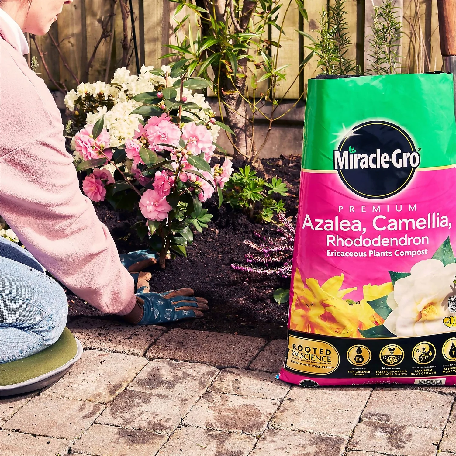 Miracle Gro Premium Azalea, Camellia & Rhododendron Ericaceous Compost - 40L - Image 6