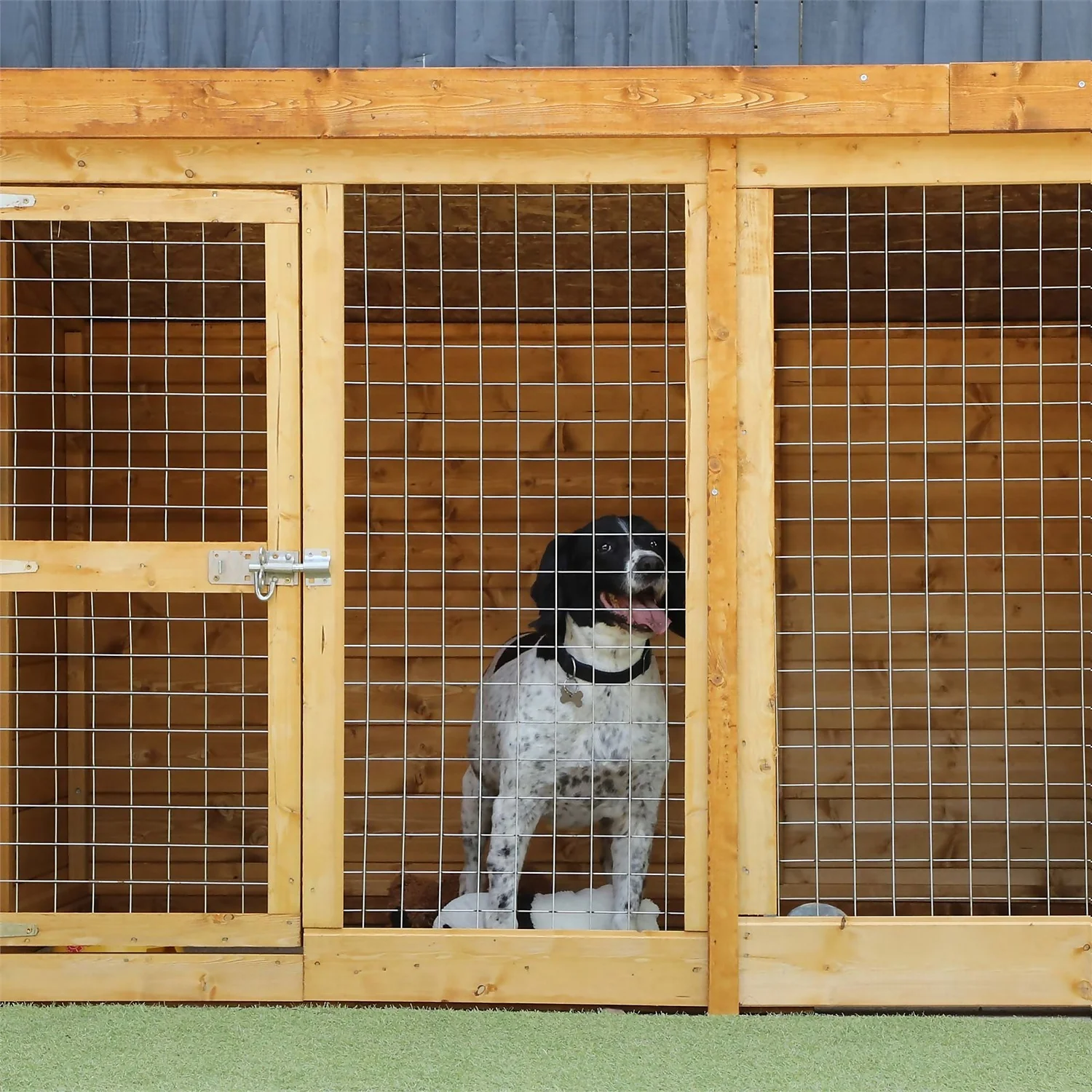 Mercia 10 X 4 Dog Kennel & Run (Installed) - Image 4