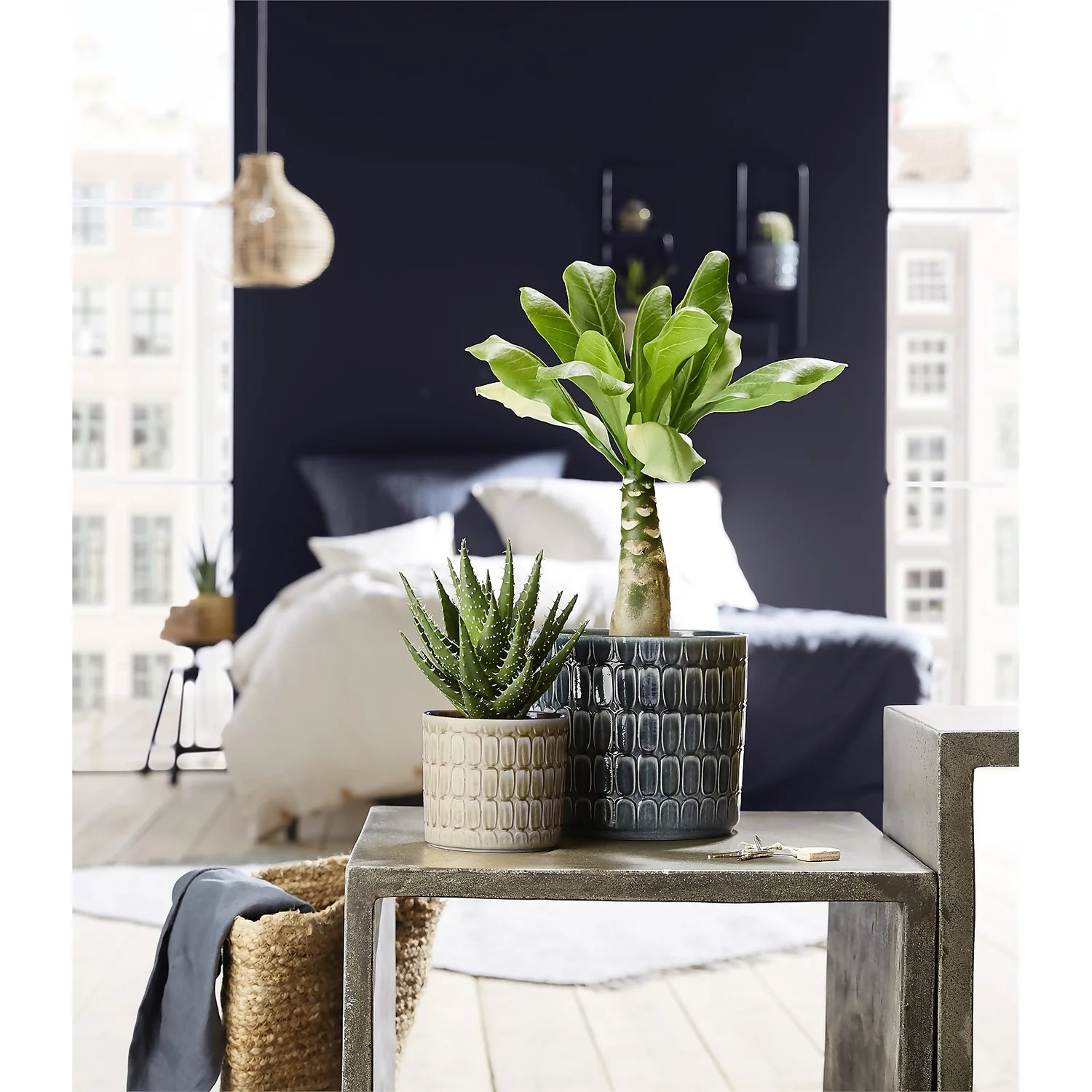 Scheurich Alma Blue Ceramic Pot - 16cm - Image 3