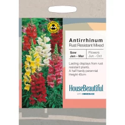 House Beautiful Antirrhinum Rust Resistant Mixed Seeds