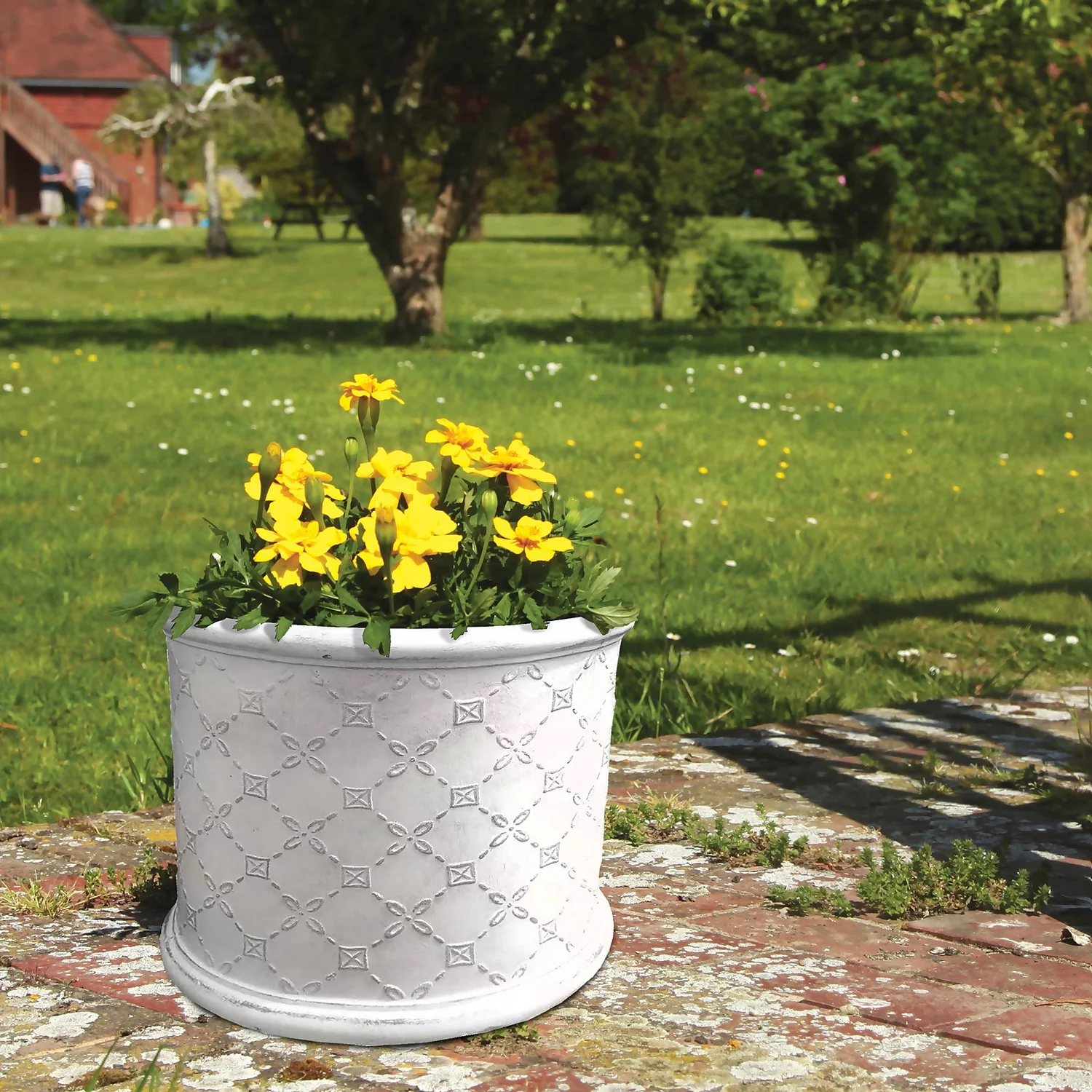 Mayfair Antique White Cylinder Plant Pot - 38cm - Image 2