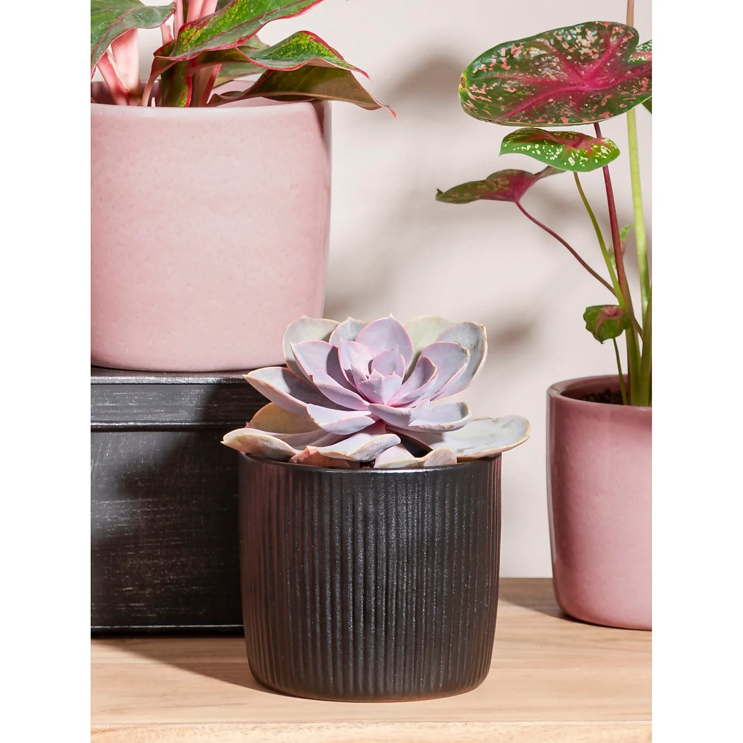 Black Ebano Plant Pot - 13cm - Image 2