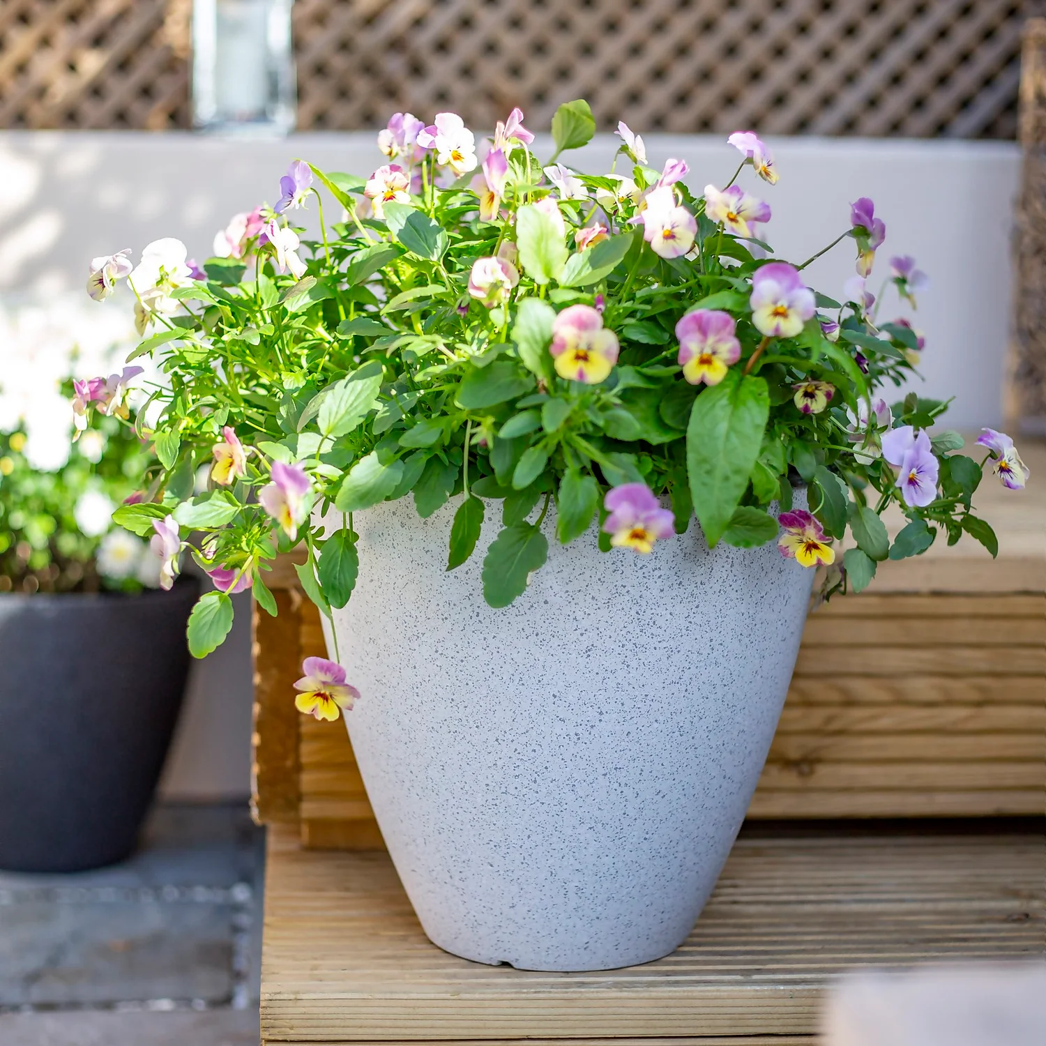 Pinto Egg Pot Beige - 37cm - Image 2