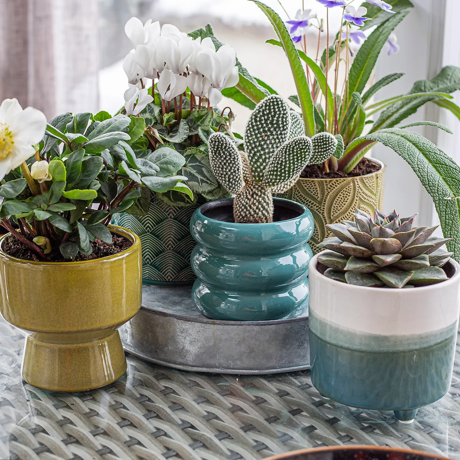 Two Tone Ombre Indoor Plant Pot - 12cm - Image 9