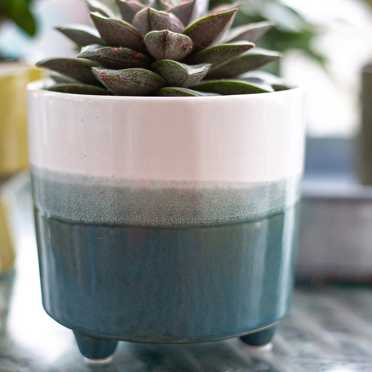 Two Tone Ombre Indoor Plant Pot - 12cm - Image 8